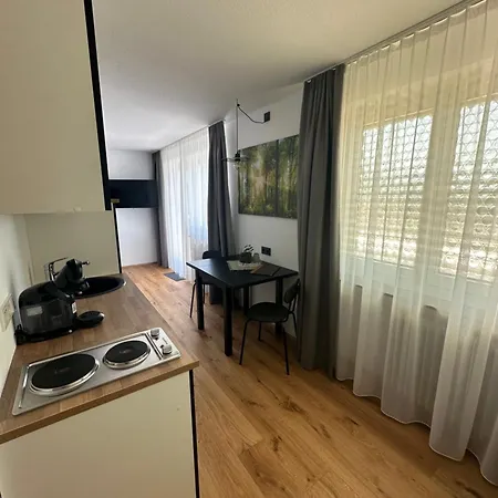 Rs44 Ueber Den Daechern Von * Bregenz