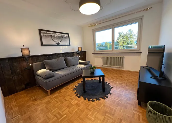 Rs44 Ueber Den Daechern Von Bregenz