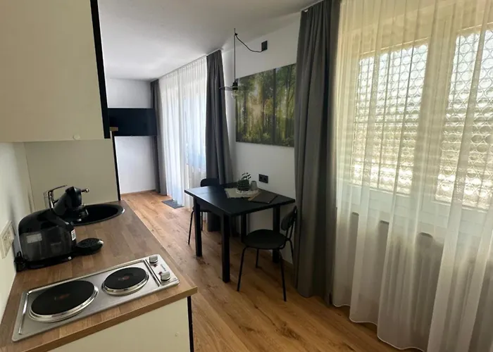 Rs44 Ueber Den Daechern Von * Bregenz