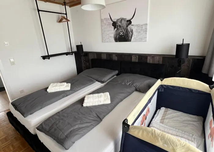 Apartment Rs44 Ueber Den Daechern Von Bregenz