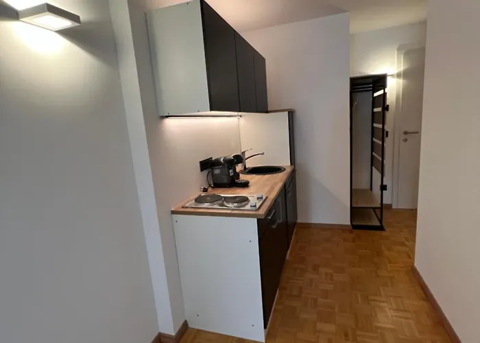 Rs44 Ueber Den Daechern Von * Bregenz