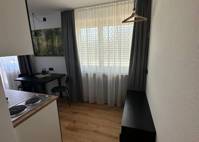 Rs44 Ueber Den Daechern Von * Bregenz